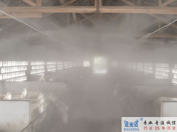 圈舍消毒